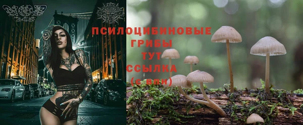 СК Алексеевка