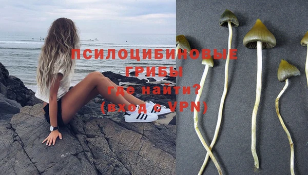 эйфоретик Аркадак